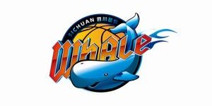 九游娱乐官网-继续征战CBA？媒体人：四川男篮国内球员压哨注册成功